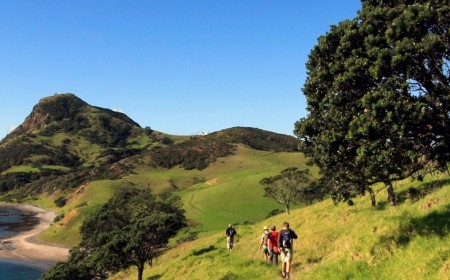 Coromandel coastal walk by Michaela Krauss 